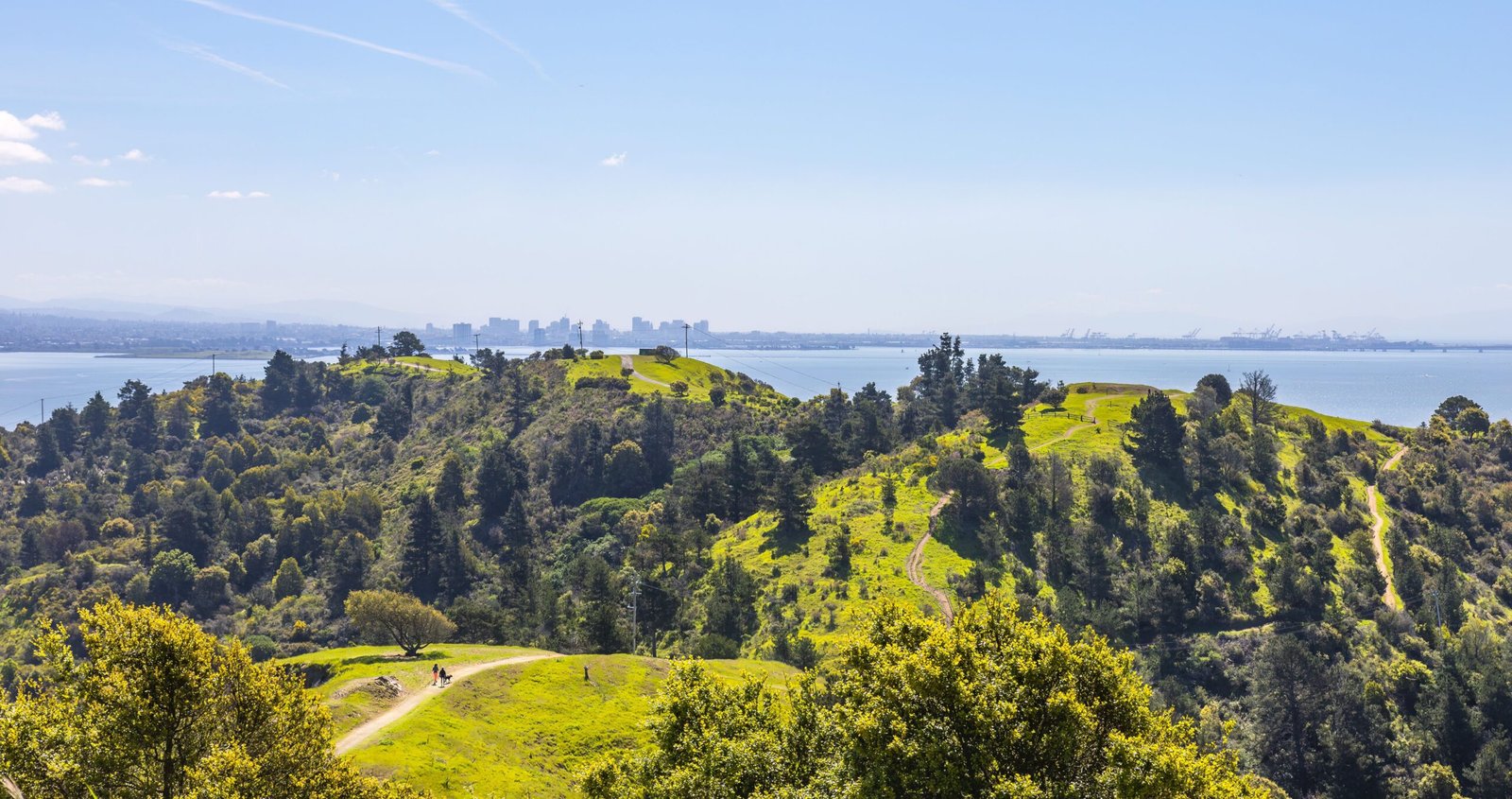 Green East Bay hills with the city skyline beyond
